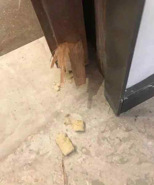 女子花千万买豪宅开心收房 到底发生了什么
