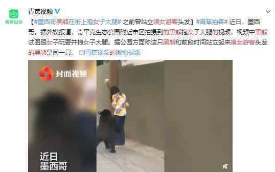 曾嗅女游客的黑熊 又抱女子大腿 这是在“骚扰”