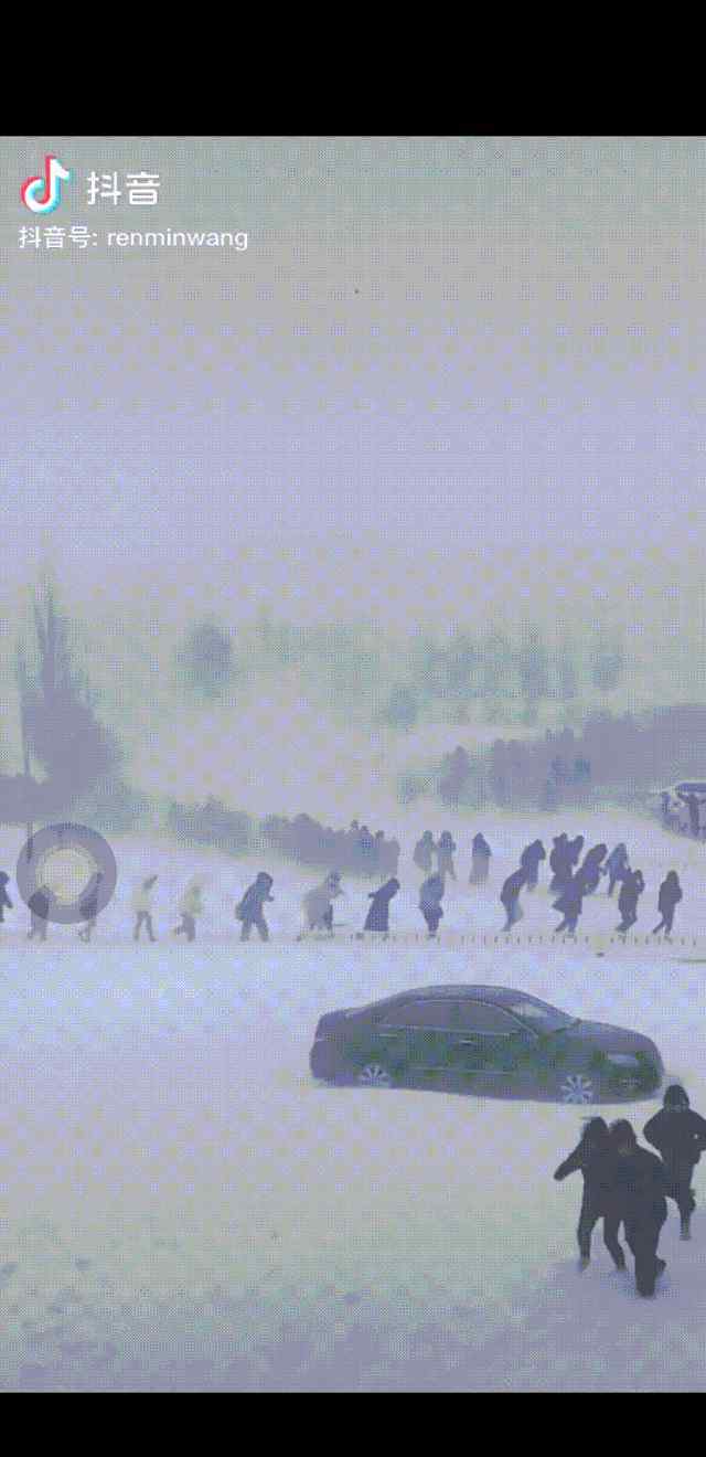 哈尔滨大雪 东北第一场大雪，刚拍的，惊呆朋友圈！