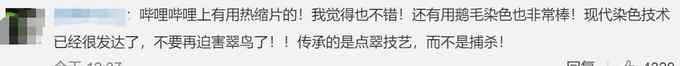 北京一女子销售翠鸟制品被刑拘！网友：传承的是点翠技艺 而不是捕杀