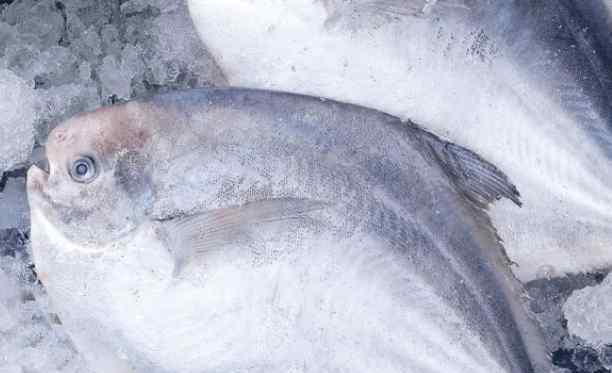 快速解冻鱼的方法 解冻鱼还在直接用水泡吗？很多人都做错，难怪鱼肉不新鲜