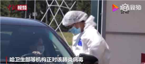 高福谈哈萨克斯坦现不明原因肺炎 “正在调查”