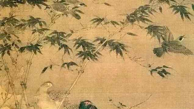 斑竹枝 从古至今“竹子”为什么能得到人们的青睐