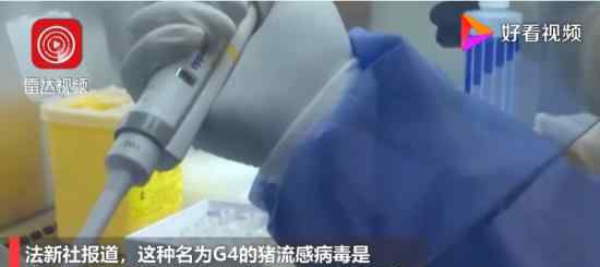 中国研究人员发现新型猪流感病毒 具体什么情况