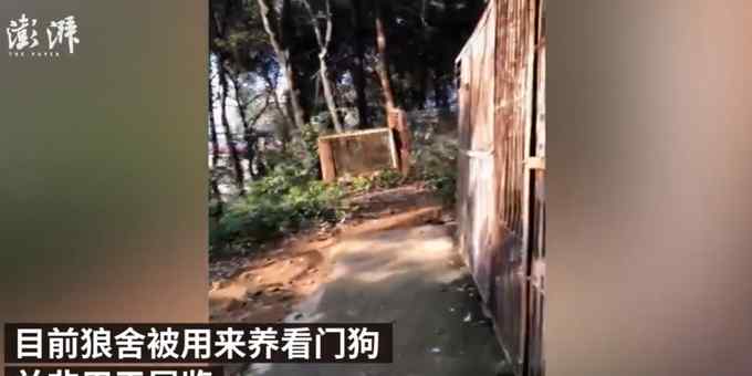 官方回应动物园 “以狗充狼”：之前有但狼因年纪大已去世