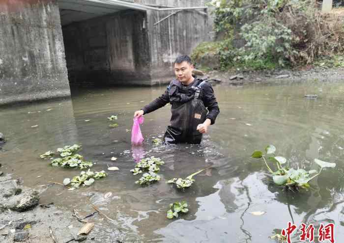 杭州36岁刑警办案时坠楼 具体事件详情是怎样的?