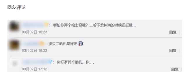 湖北一动物园以狗充狼 园方回应来了 事情的详情始末是怎么样了！