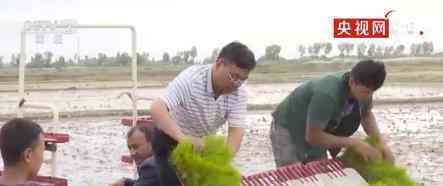 袁隆平团队沙漠海水稻亩产超千斤 他是怎么做到