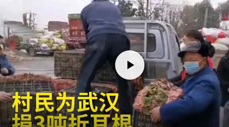 四川村民给武汉捐3吨折耳根，网友：可能感动并嫌弃着