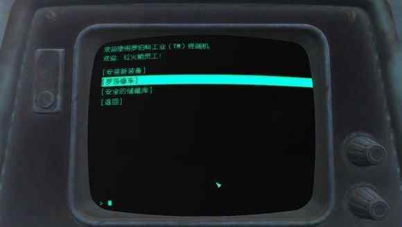 辐射43dm 辐射4 小故事小剧情小细节分享 于细微处见精神