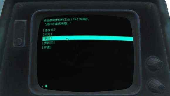 辐射43dm 辐射4 小故事小剧情小细节分享 于细微处见精神