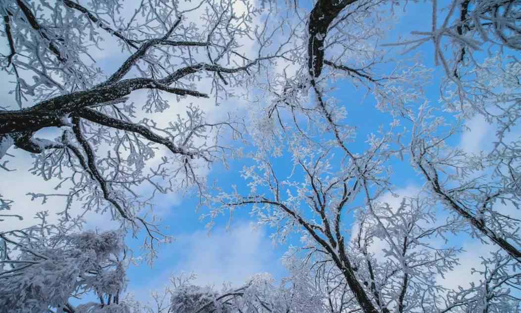 河南多景区飘起鹅毛大雪 景区景色会是怎么样