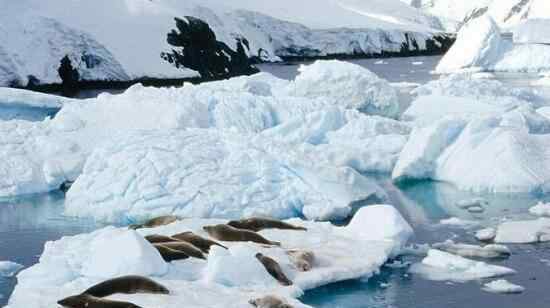 南极洲世界之最 南极洲世界之最，世界最荒凉孤寂的大陆
