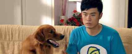 陈赫的老婆 陈赫的两任妻子：初恋十三年的许婧，为什么输给了二婚的张子萱