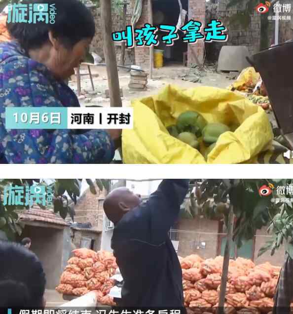 母亲摘140斤柿子送儿子返程 这个是母亲对儿子的爱