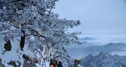 河南多景区飘起鹅毛大雪 景区景色会是怎么样