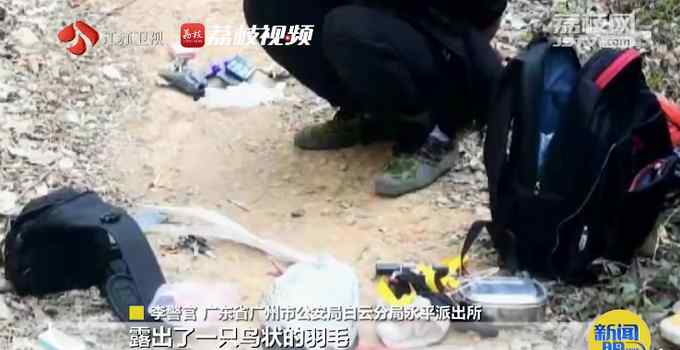主播为卖弹弓拍摄打鸟视频被拘 网友怒斥：为了赚钱不择手段！