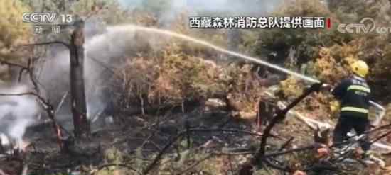 西藏林芝森林火灾 目前火扑灭了吗是否有人员伤亡