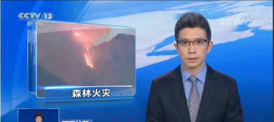 西藏林芝森林火灾 目前现场情况如何损失如何