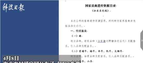 狗为伴侣动物拟禁食 具体什么情况原因是什么
