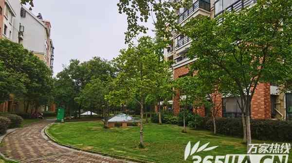合肥名邦锦绣年华 合肥名邦锦绣年华业委会主任台建树：67岁的老人为了小区一直坚守