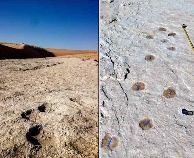 沙特发现距今12万年前的人类脚印 真的是重大考古发现