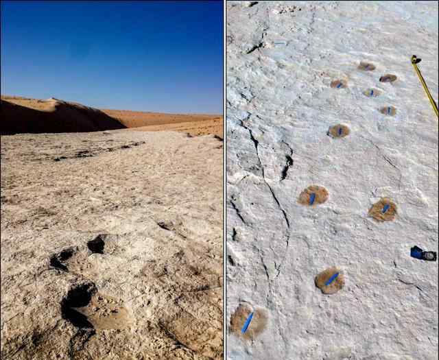 沙特发现距今12万年前的人类脚印上热搜，究竟真相如何