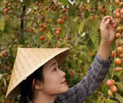 云南是哪个省 滇南小哥在云南哪里