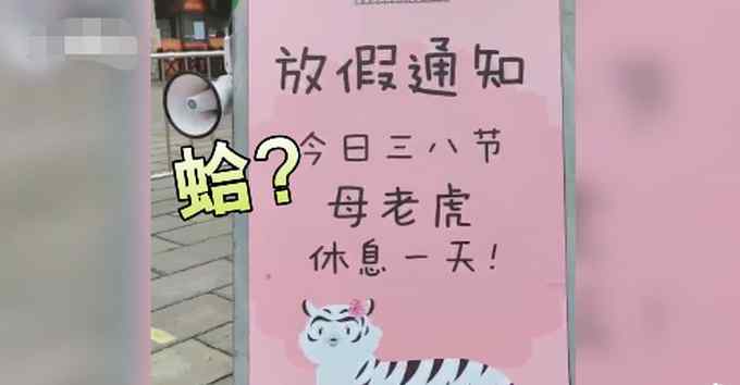 江苏一动物园三八节给母老虎放假 网友调侃：母狮子表示不服