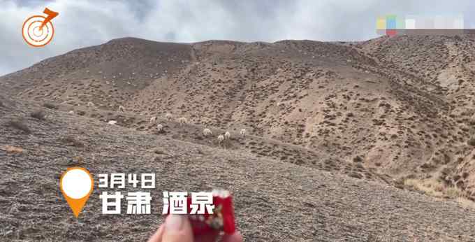 女子拿着糖果在荒野上呼唤一声 随后一幕让人直呼可爱！