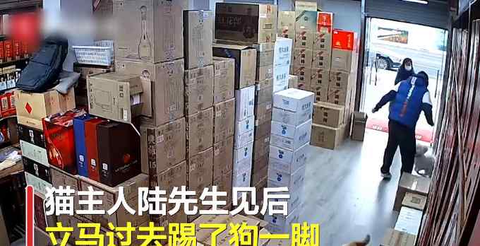 女子遛狗不拴绳袭击猫 反问猫主人“猫怎么不栓绳” 网友：强词夺理！