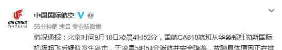 国航客机引擎起火是怎么回事?疑似鸟击?