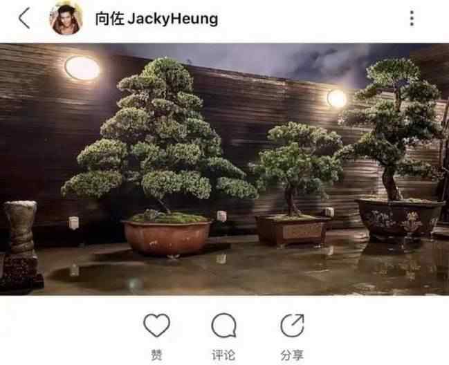 向太发文疑否认郭碧婷怀孕 具体说了什么