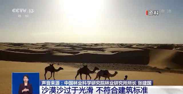 地处沙漠 迪拜每年花至少4亿美元进口沙子 网友：发现了商机