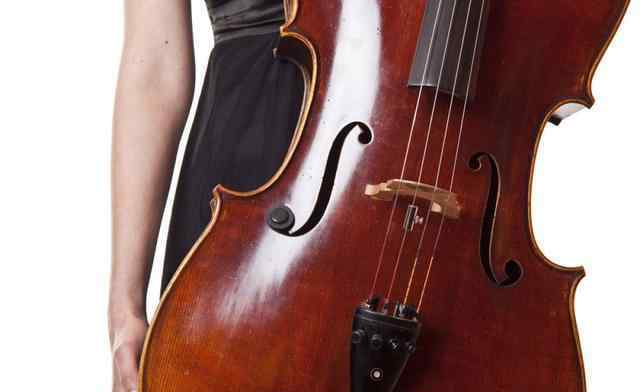 小提琴的价格 盘点世界最贵的十大乐器，最便宜的价格你绝对想不到