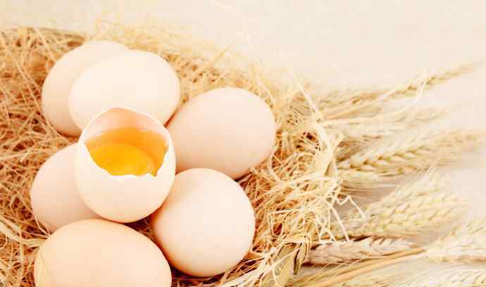 山东鸡蛋价格创年内新低 究竟原因是什么