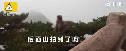 游客爬到黄山悬崖的松树上拍照 网友：出事了还得告景区