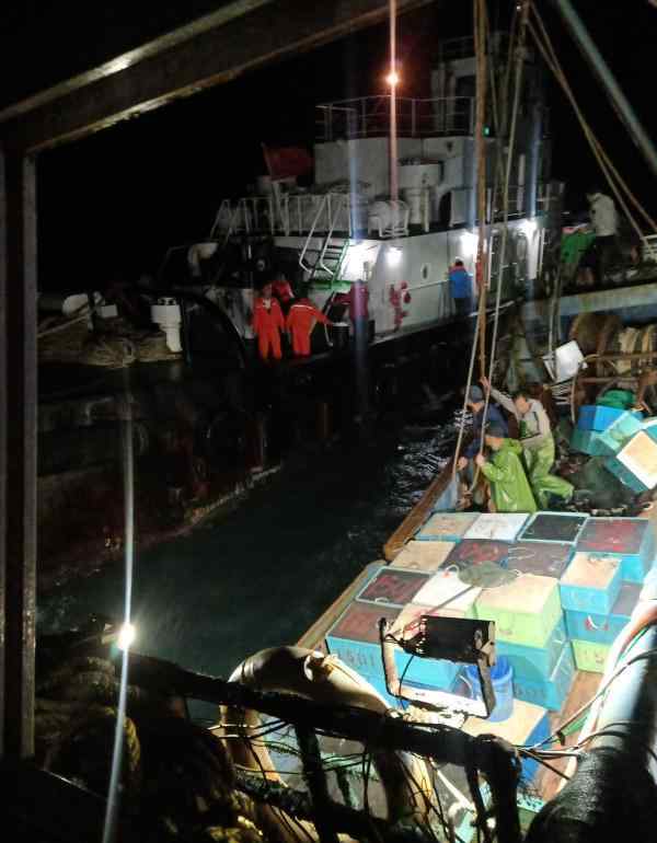 福建湄洲湾口水域一游艇沉没 4名落水遇险船员全部获救 究竟发生了什么?