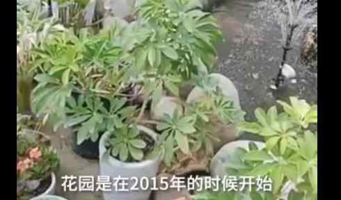 女儿为植物人父亲打造花园 回顾事情经过