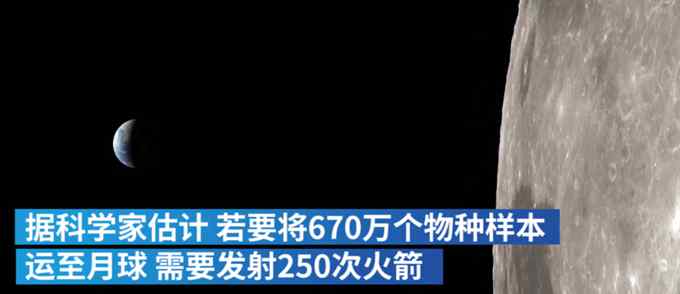 美科学家欲打造“月球方舟” 保存670万个地球物种 面临困难不少