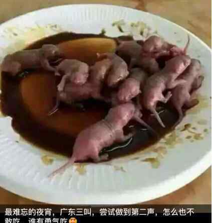三吱儿广东菜 中国十大禁菜之老鼠三吱儿，最恶心的美食