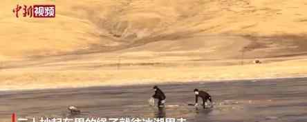 青海乡干部跳入冰湖救落水野狼 这是什么情况