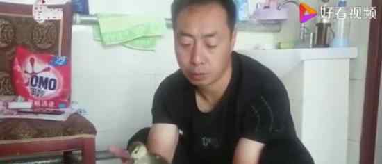 男子网购孔雀蛋孵出鸭子 具体是怎么回事