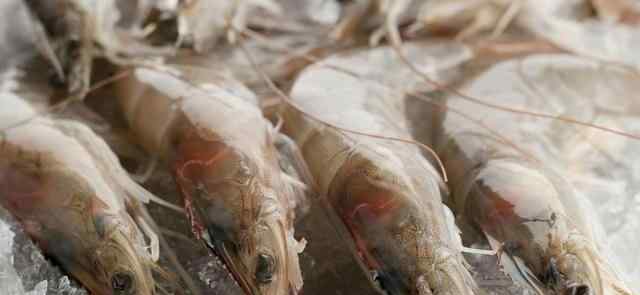 虾怎么保存才新鲜 保存鲜虾，不要直接放冰箱，贩子教你一招，放多久都和新鲜的一样