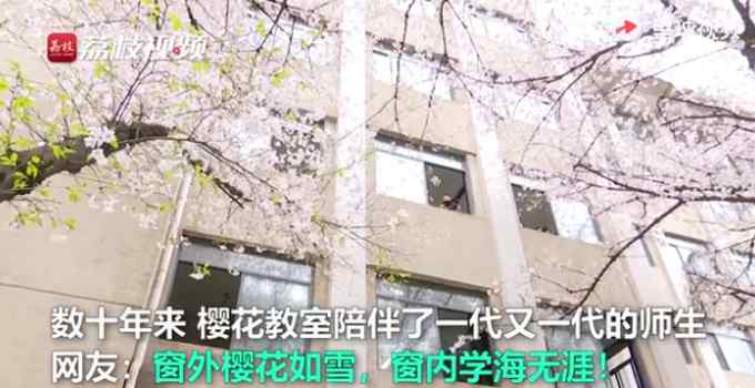 东南大学樱花教室好美 画面曝光 网友直呼：动漫里的场景实现了！