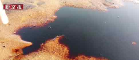 腾格里沙漠20天清出4万吨黑液 为什么会有黑液