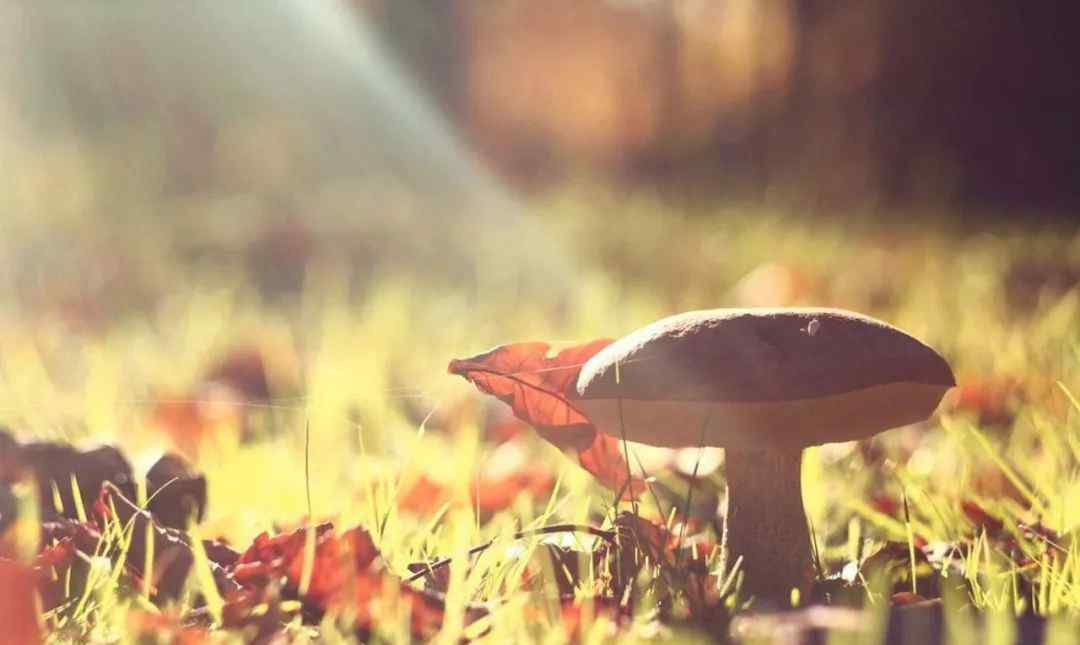 地图上的远方什么歌 晚安电台 | 地图上的远方，在到达前都只是想象