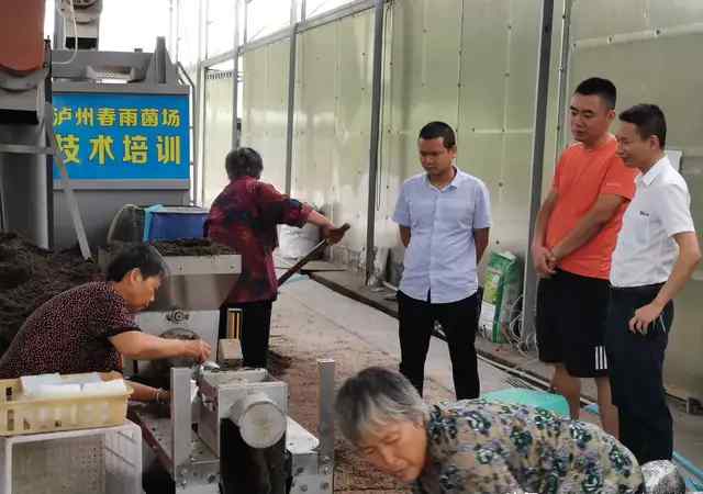 食用菌培训基地 食用菌专家到泸州春雨菌业技术培训基地调研