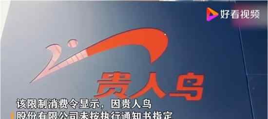 贵人鸟创始人林天福被限制消费 具体是什么情况