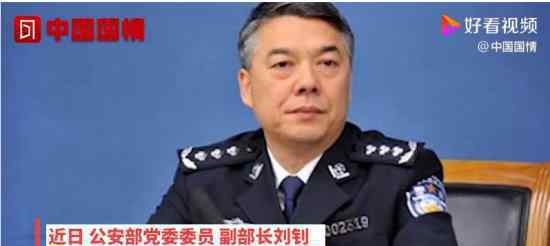 公安部副部长率队离京 离京有什么任务为何中央如此重视